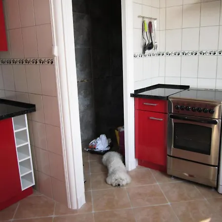 3 Pieces 6 Personnes Bord De Mer 74649 Appartement